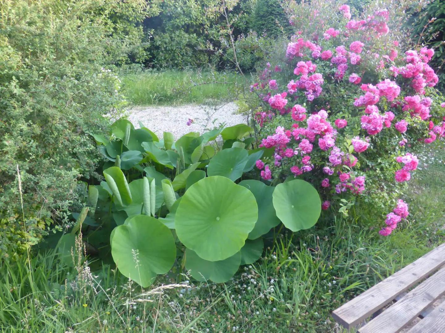 Le Mas-dʼAgenais La Maison De L'Ecolieu Du Turc - Piscine Partagee מראה חיצוני תמונה